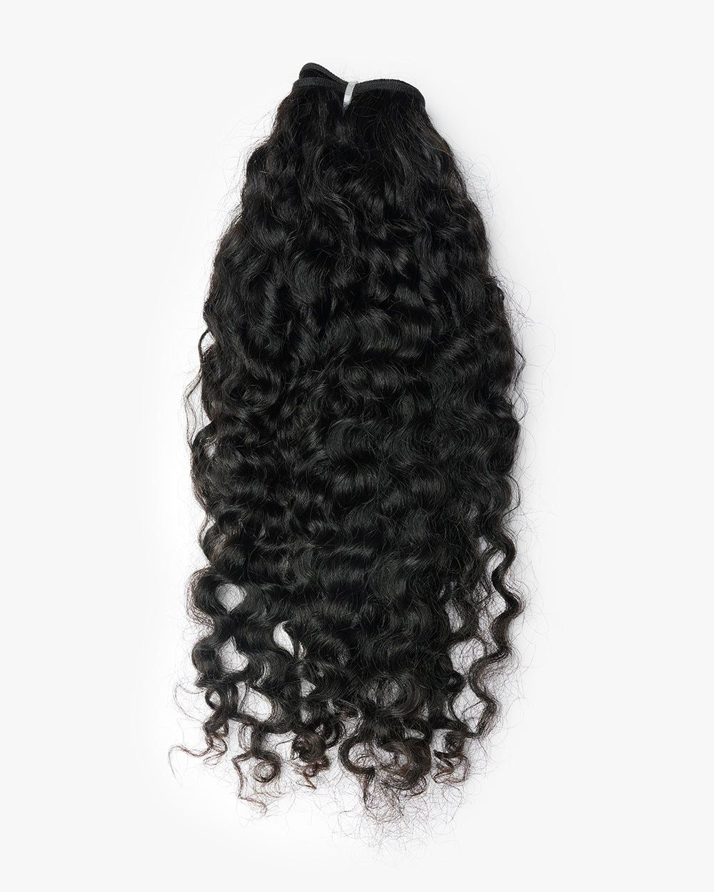 Indian Curly